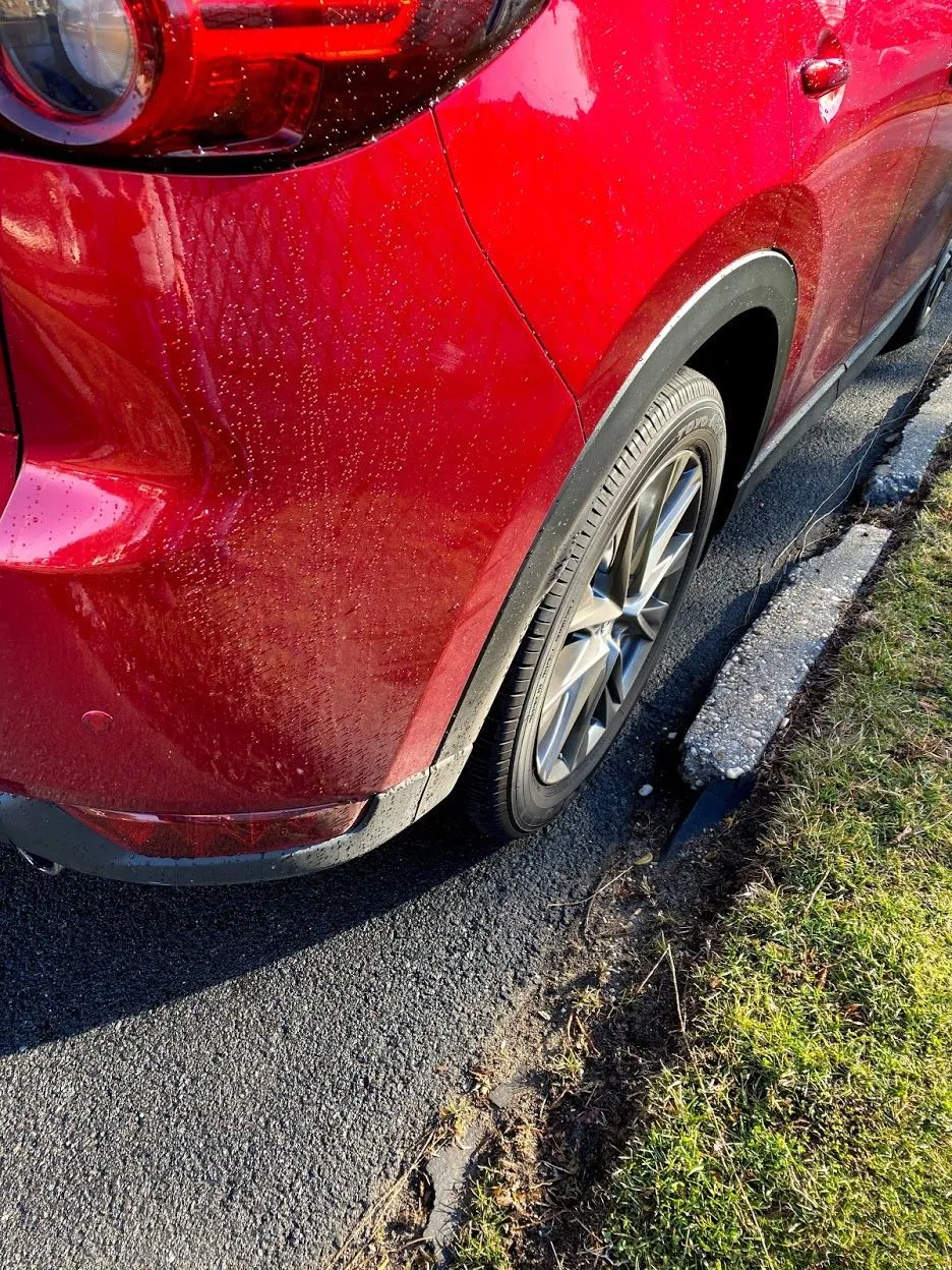REAR2.jpg