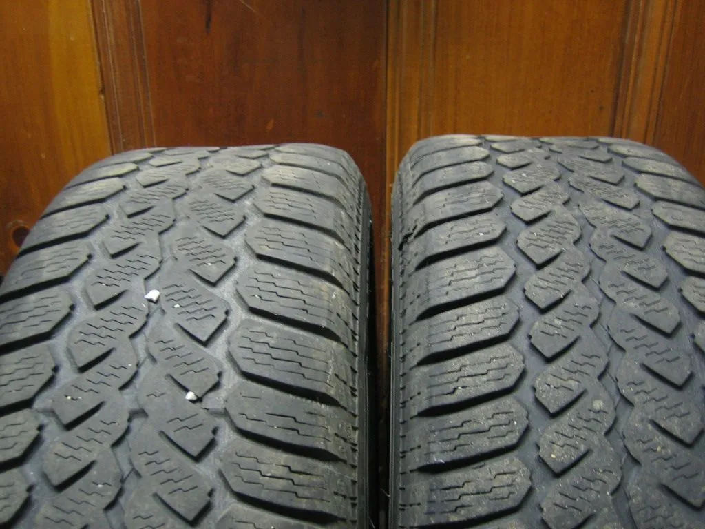 rears.webp