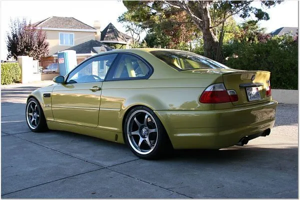 rearsidetm0.jpg