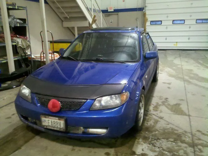 reindeer protege.webp