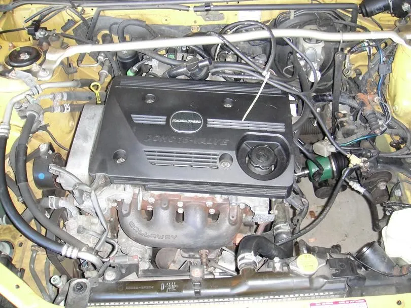 resized DSC00658.webp