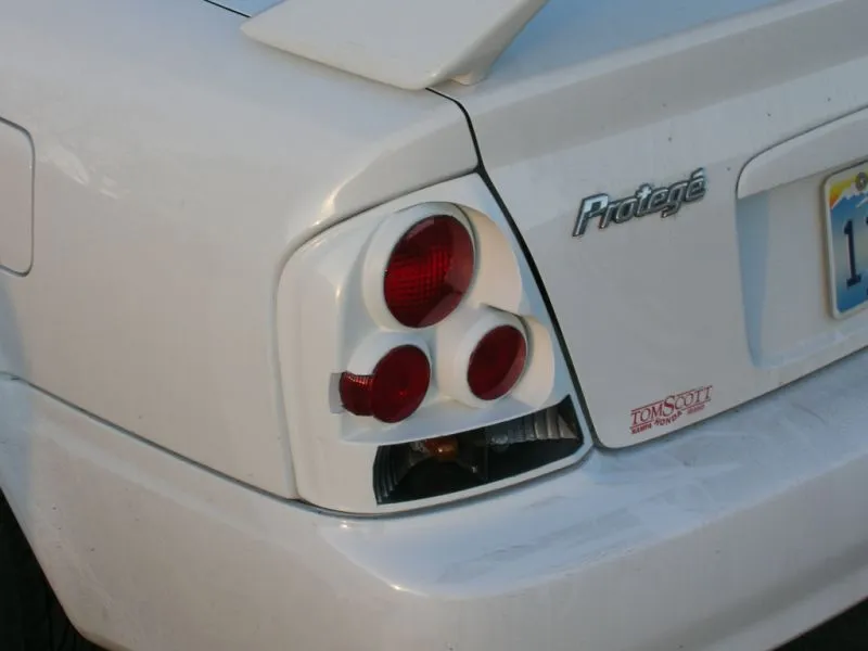 resized tail 1.jpg