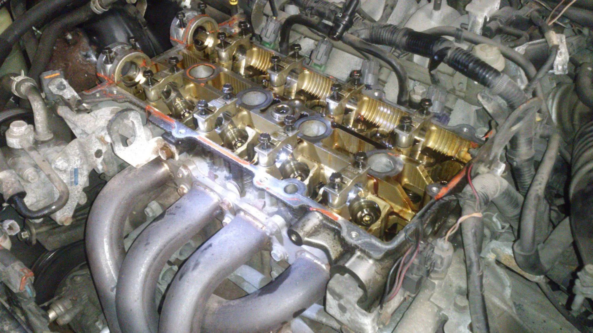 rsz_dsc_0206.jpg