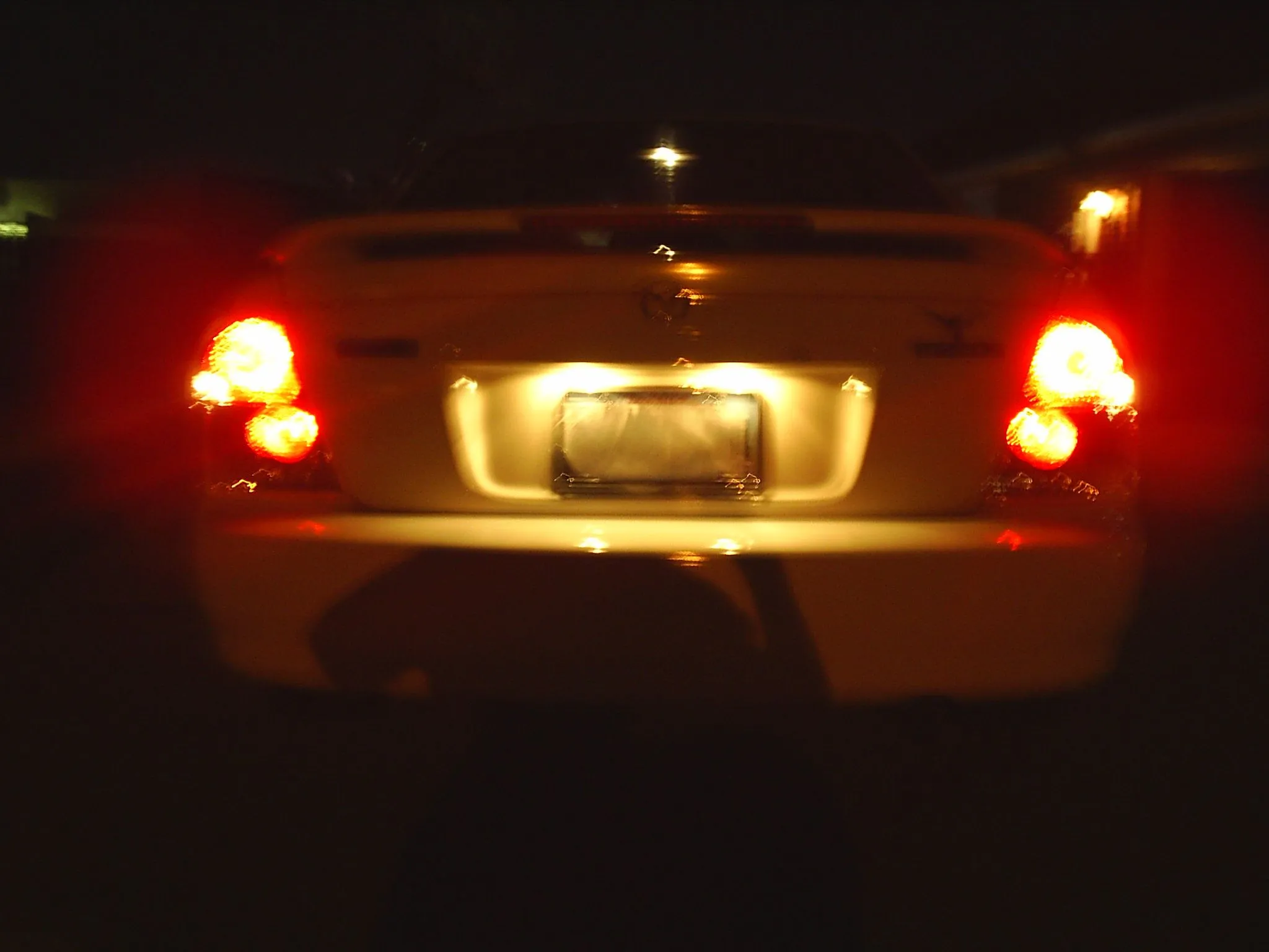 S4010017.webp