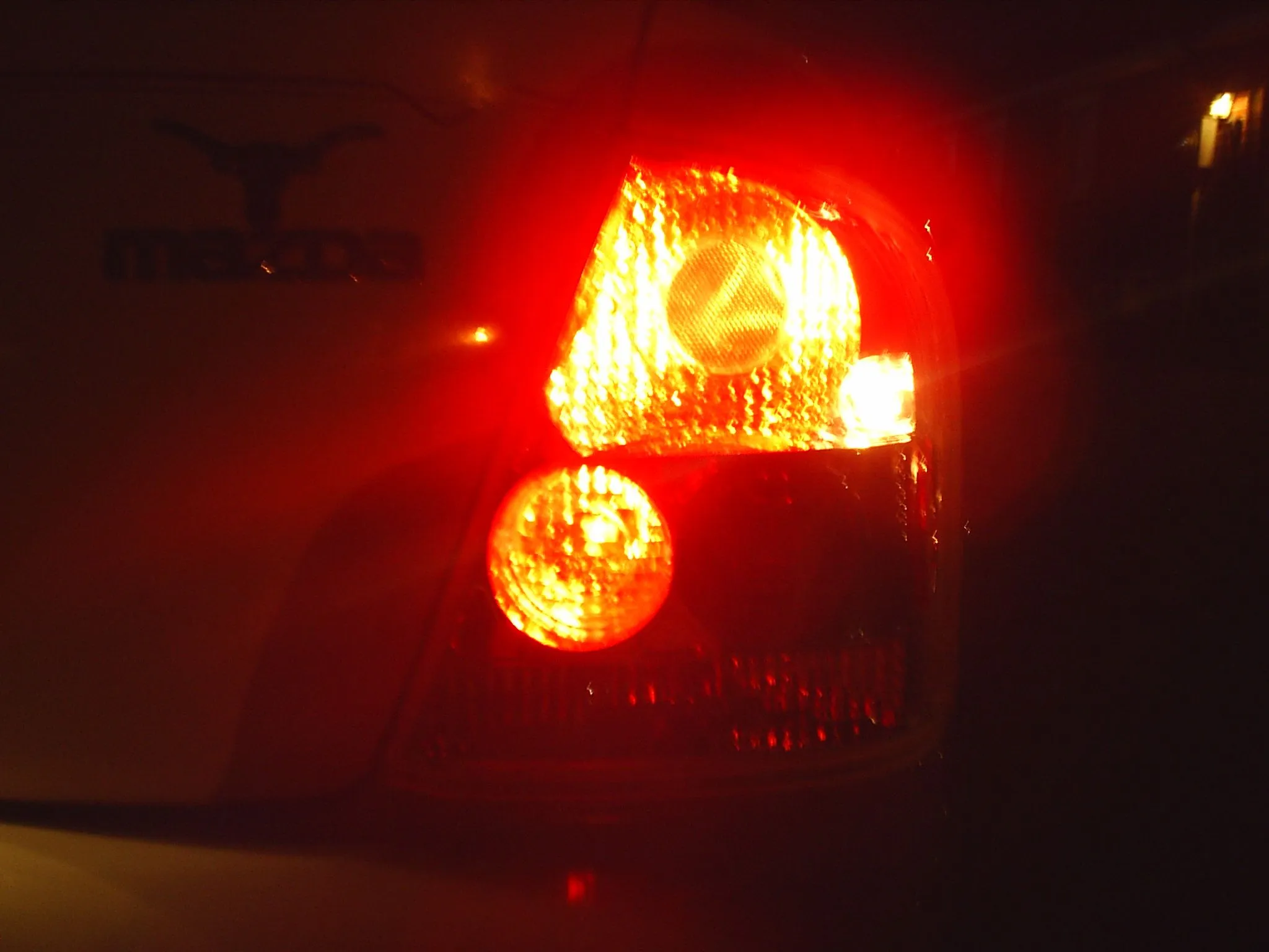 S4010018.webp