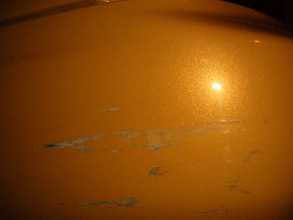 S4300195.webp