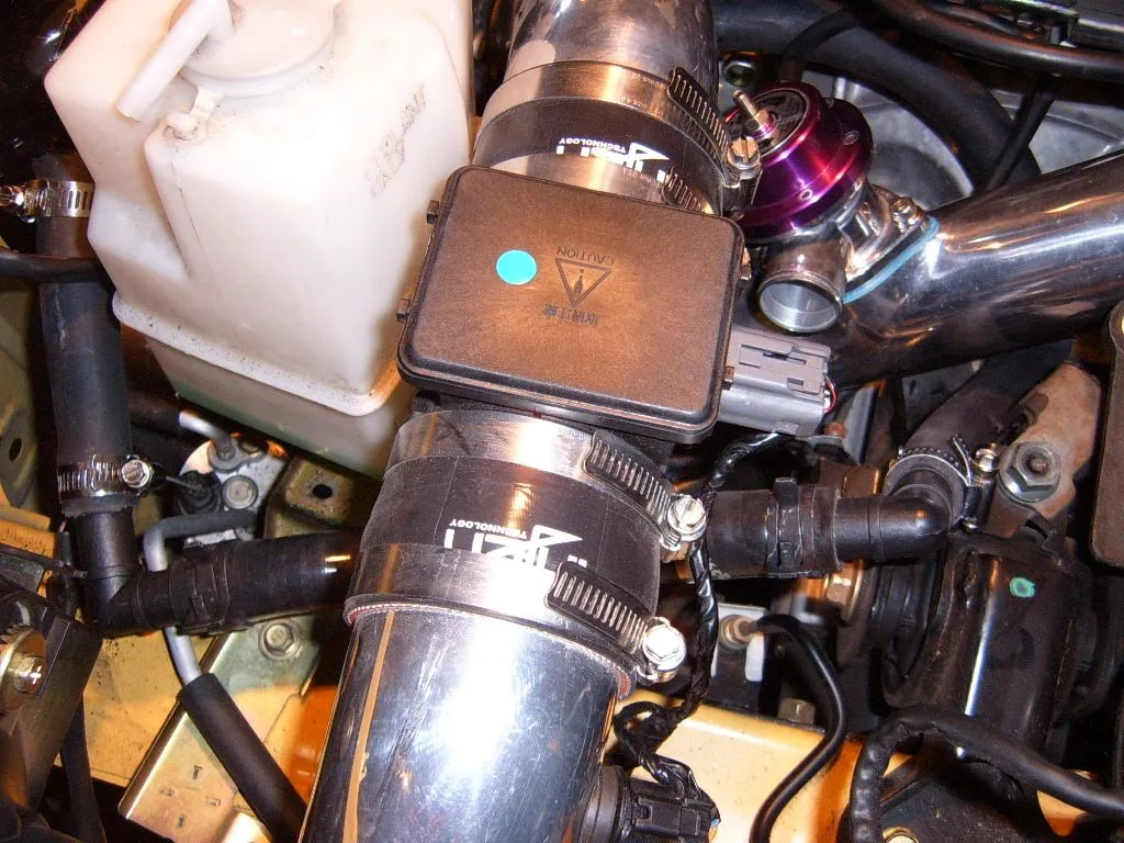 S4300217.JPG