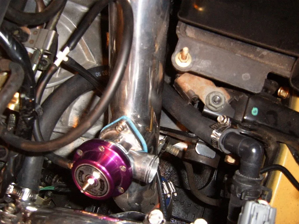 S4300219.JPG