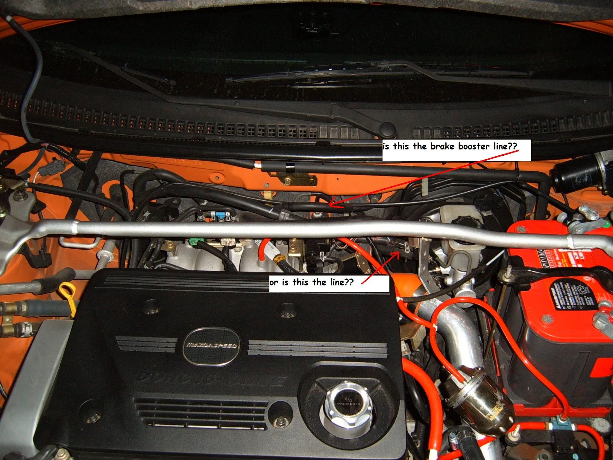 S4300233.JPG