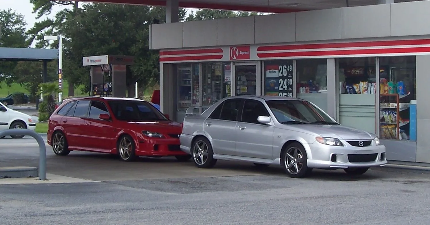 savannah 029edit.webp