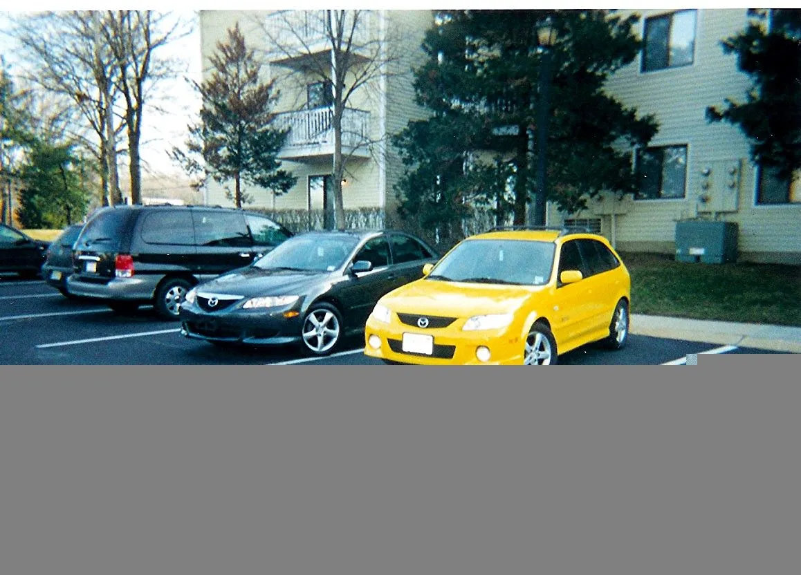 scan.webp