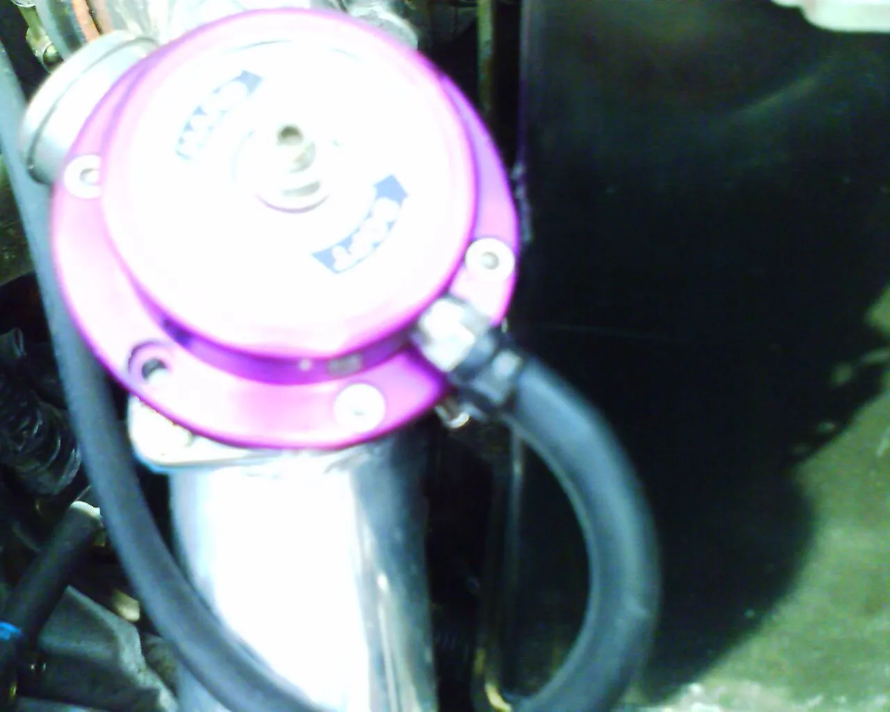 SCpics_00038.jpg