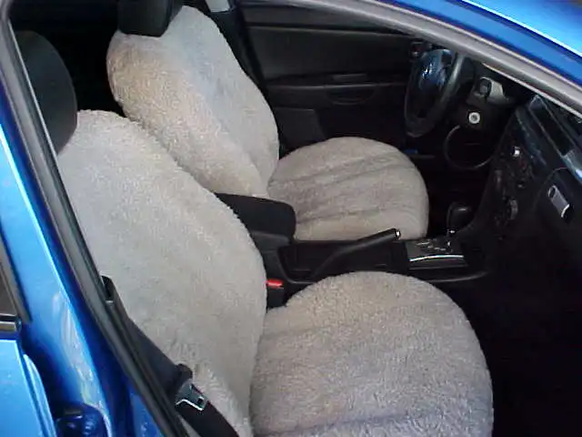 seat.JPG