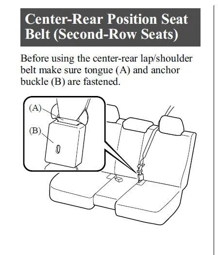 seatbelt.jpg