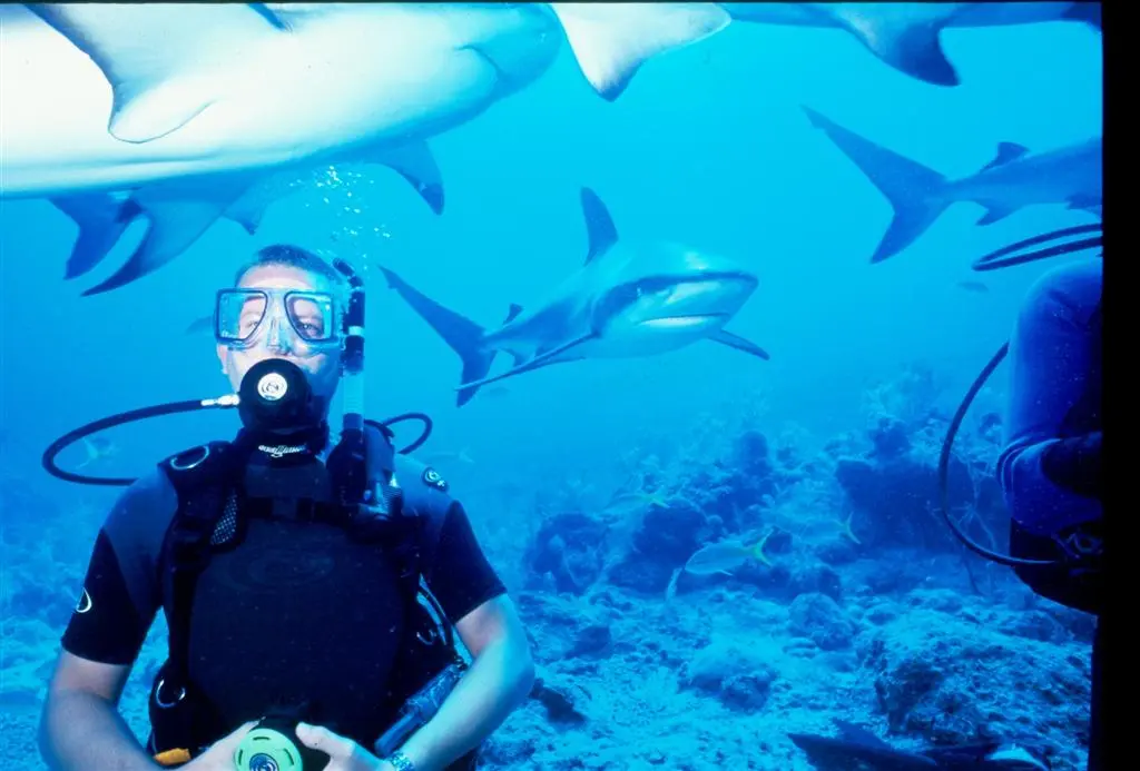 sharkdiving (Large).JPG