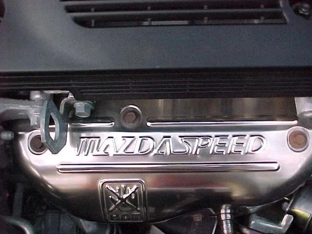 shinyheatshield.JPG