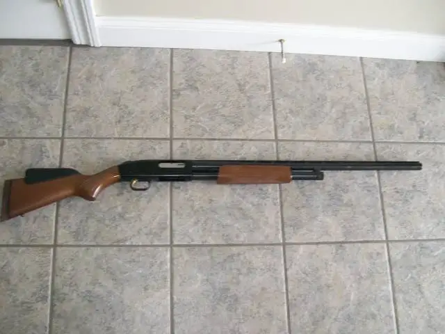 Shotgun1.webp