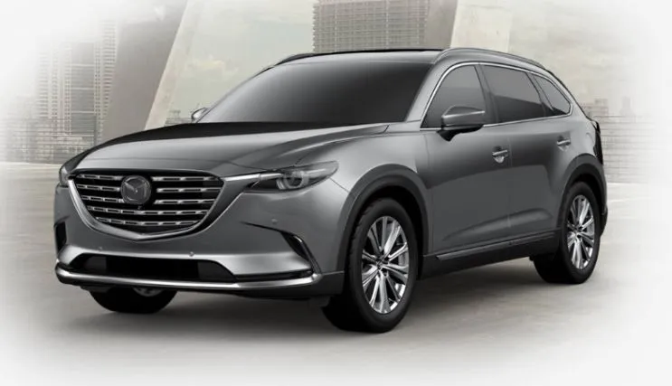 sigcx9.JPG