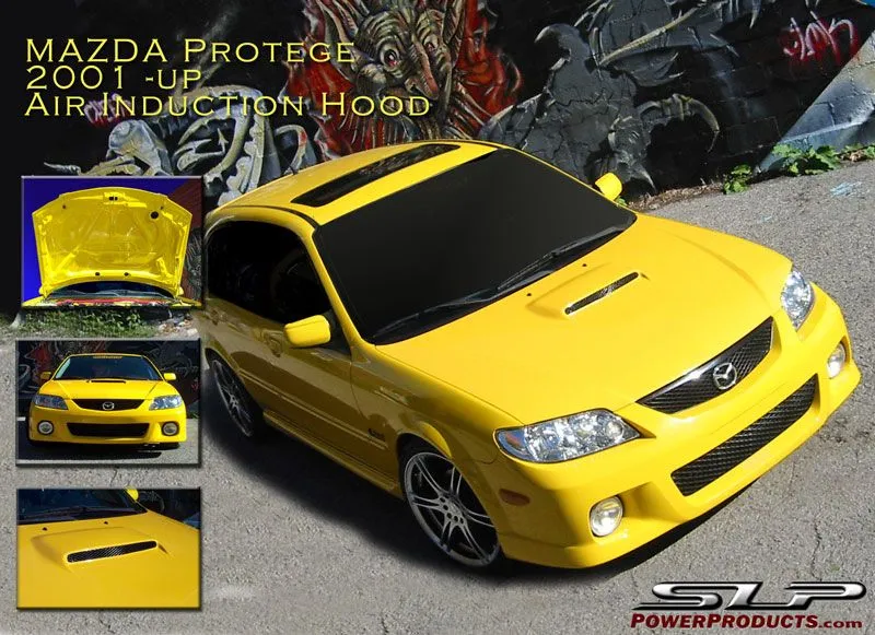 slp protege views.jpg