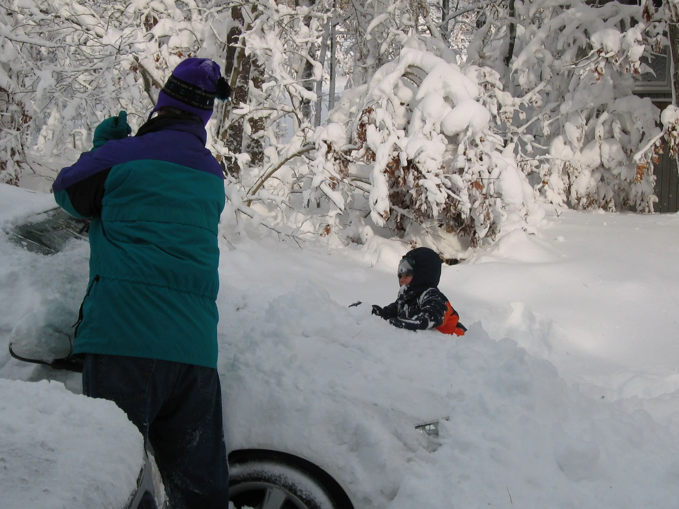 Snow Day 032.webp