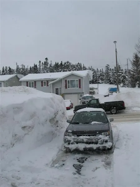 snow.webp