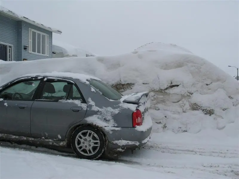 snow2.webp