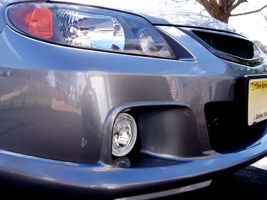 SpeedFogsCloseup.jpg