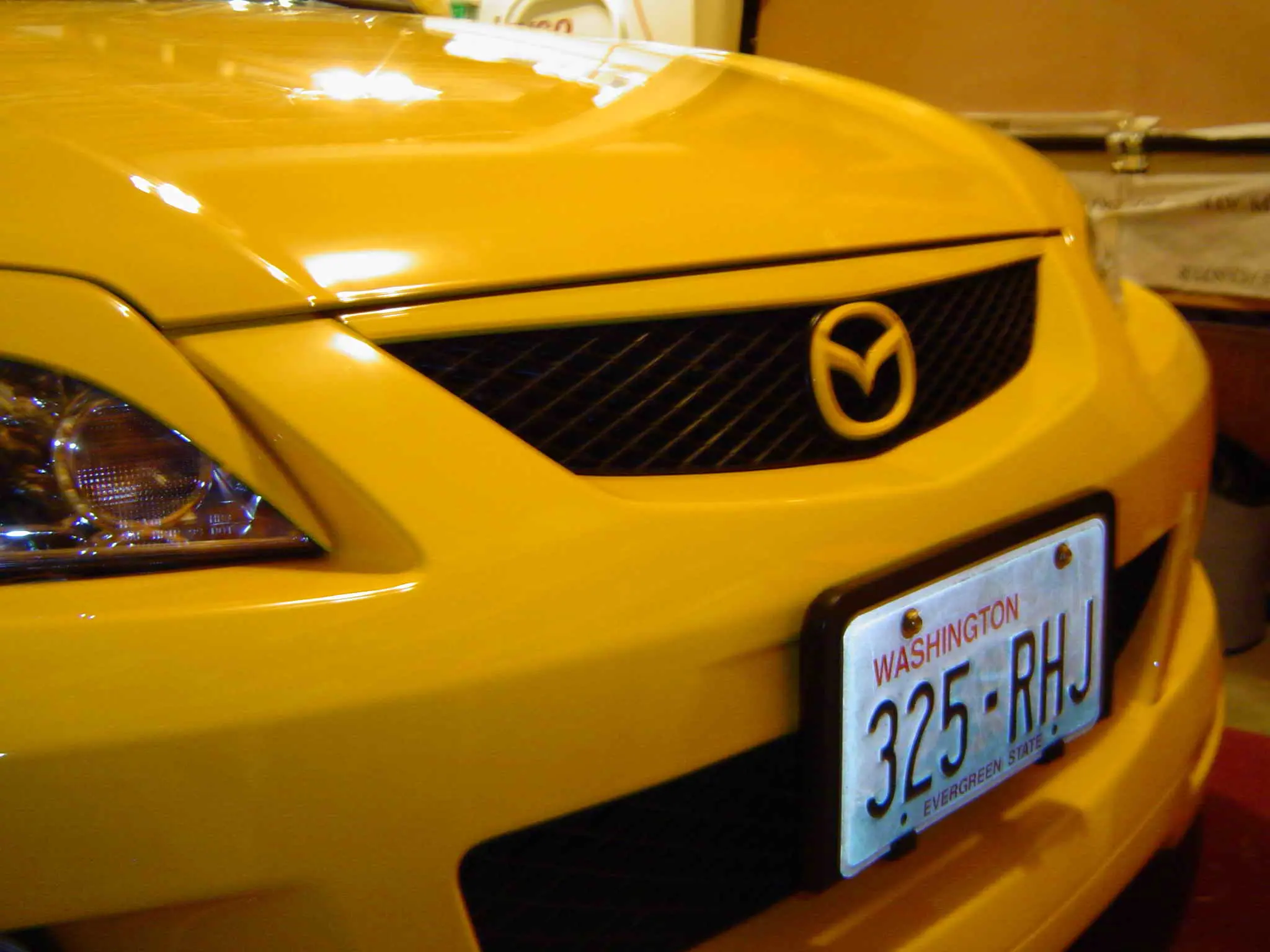 spring break 019.jpg