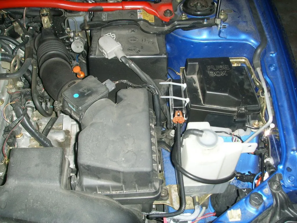 SSL10067.JPG