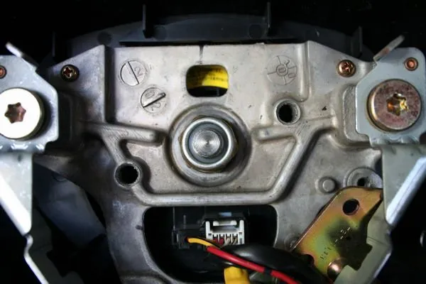 Steer-04.webp