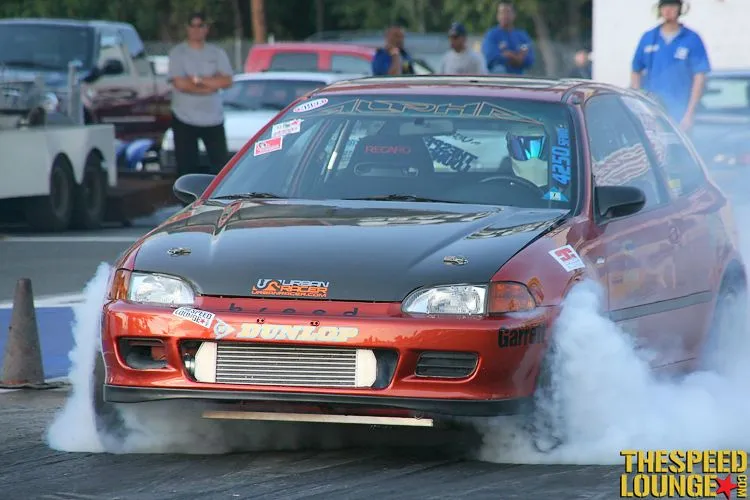 steve civic.webp