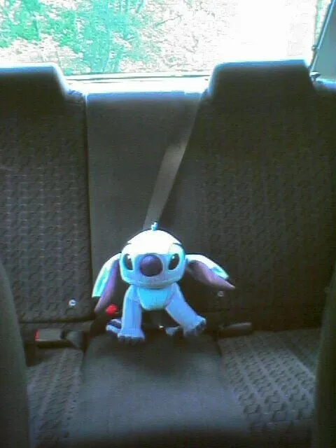 stitch.jpeg