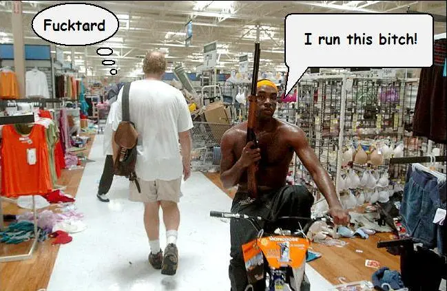 stupid looter.webp