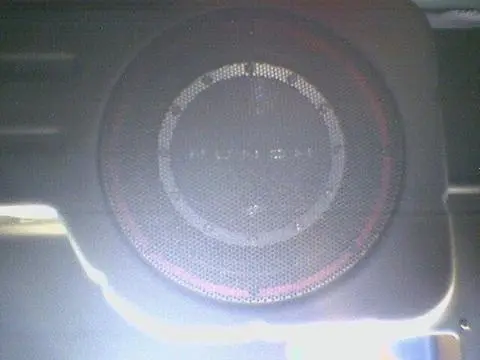 Sub mounted with grill.jpeg