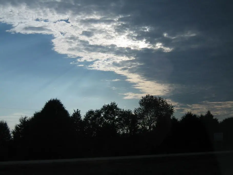 Sun rays 1.webp