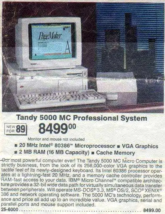 tandy.webp
