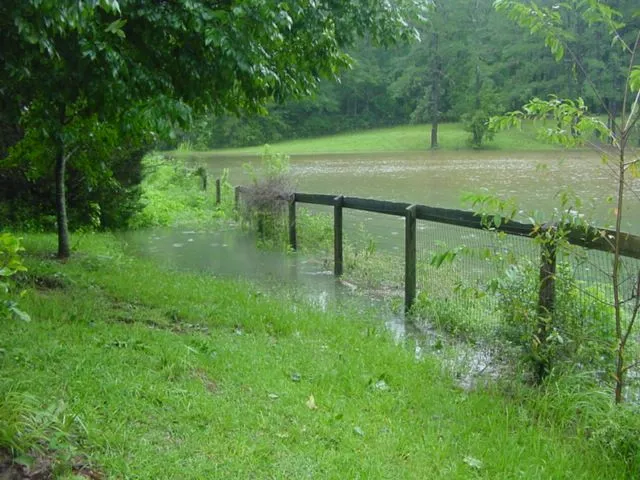 The Pond 01.JPG