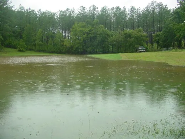 The Pond 07.JPG