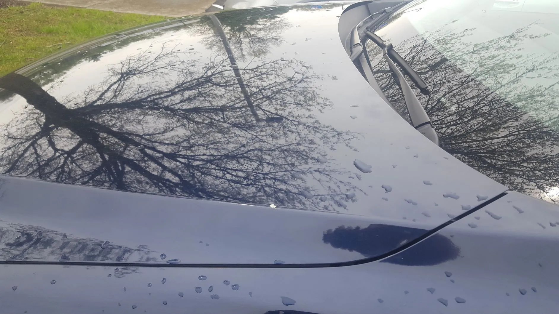 TheBori Cement 2.jpg