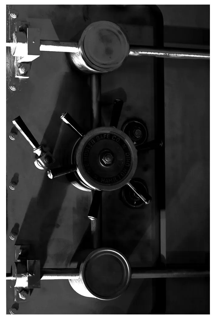 TheVault.webp