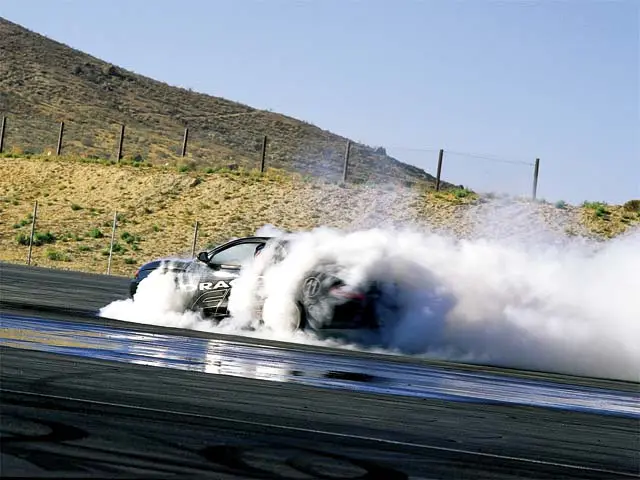 tiburon 2.webp