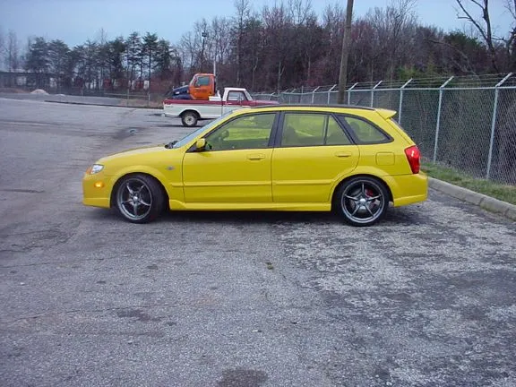 togan yellow.webp