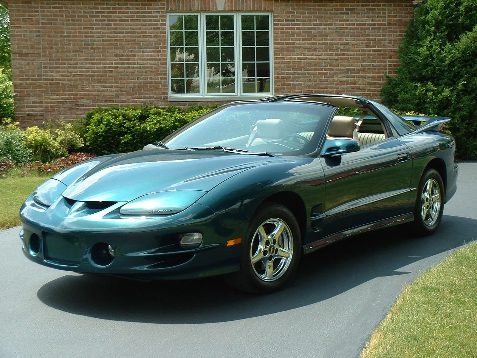 Trans Am 012.webp