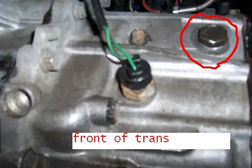 trans1we9.jpg