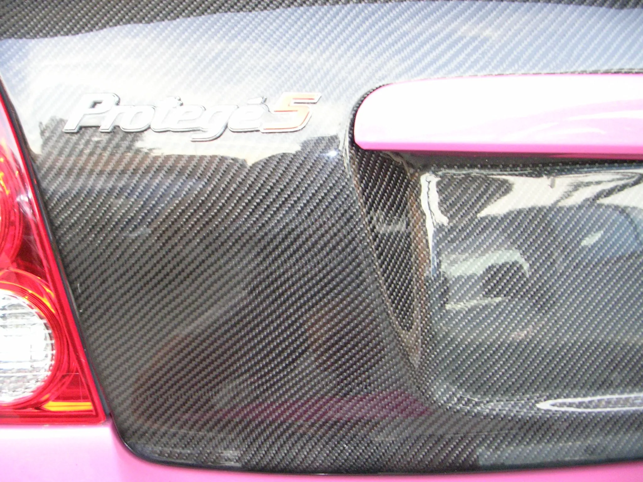 trunk 002.webp