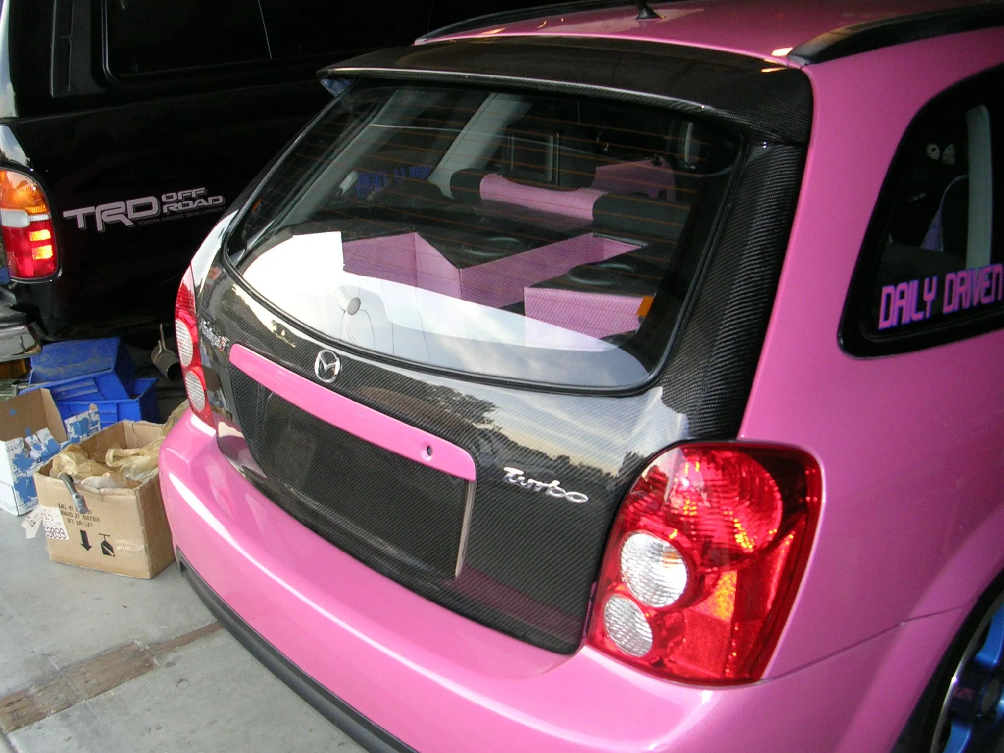 trunk 004.webp