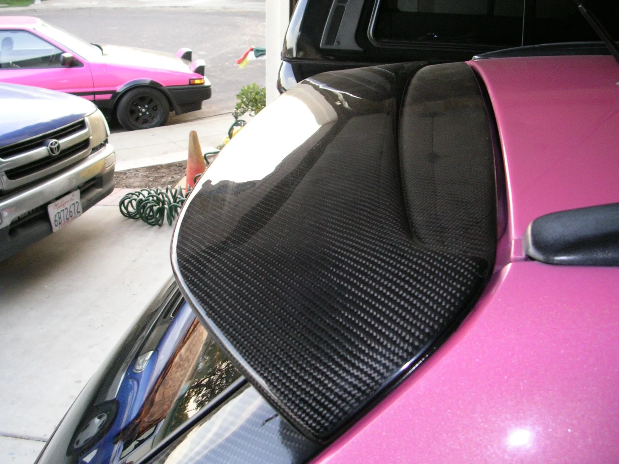 trunk 006.webp