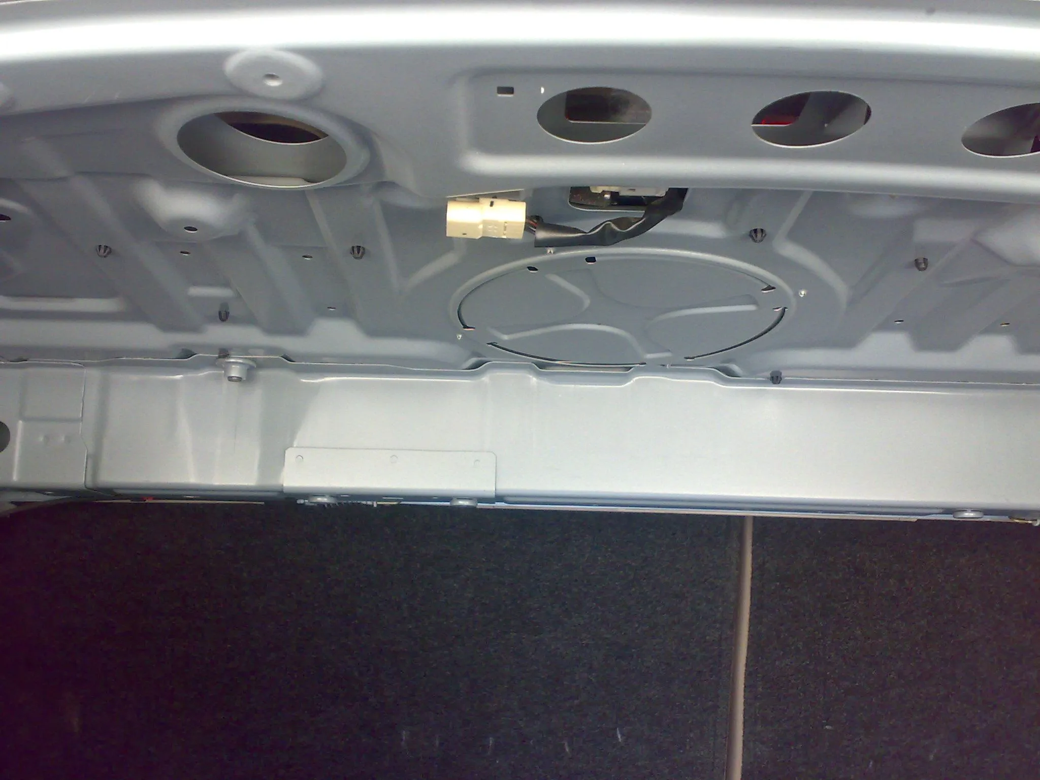 trunk 1.webp