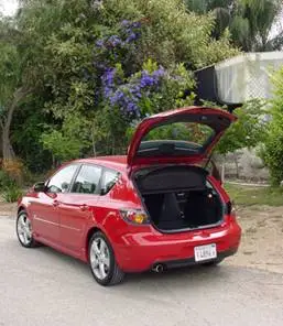 trunk.webp