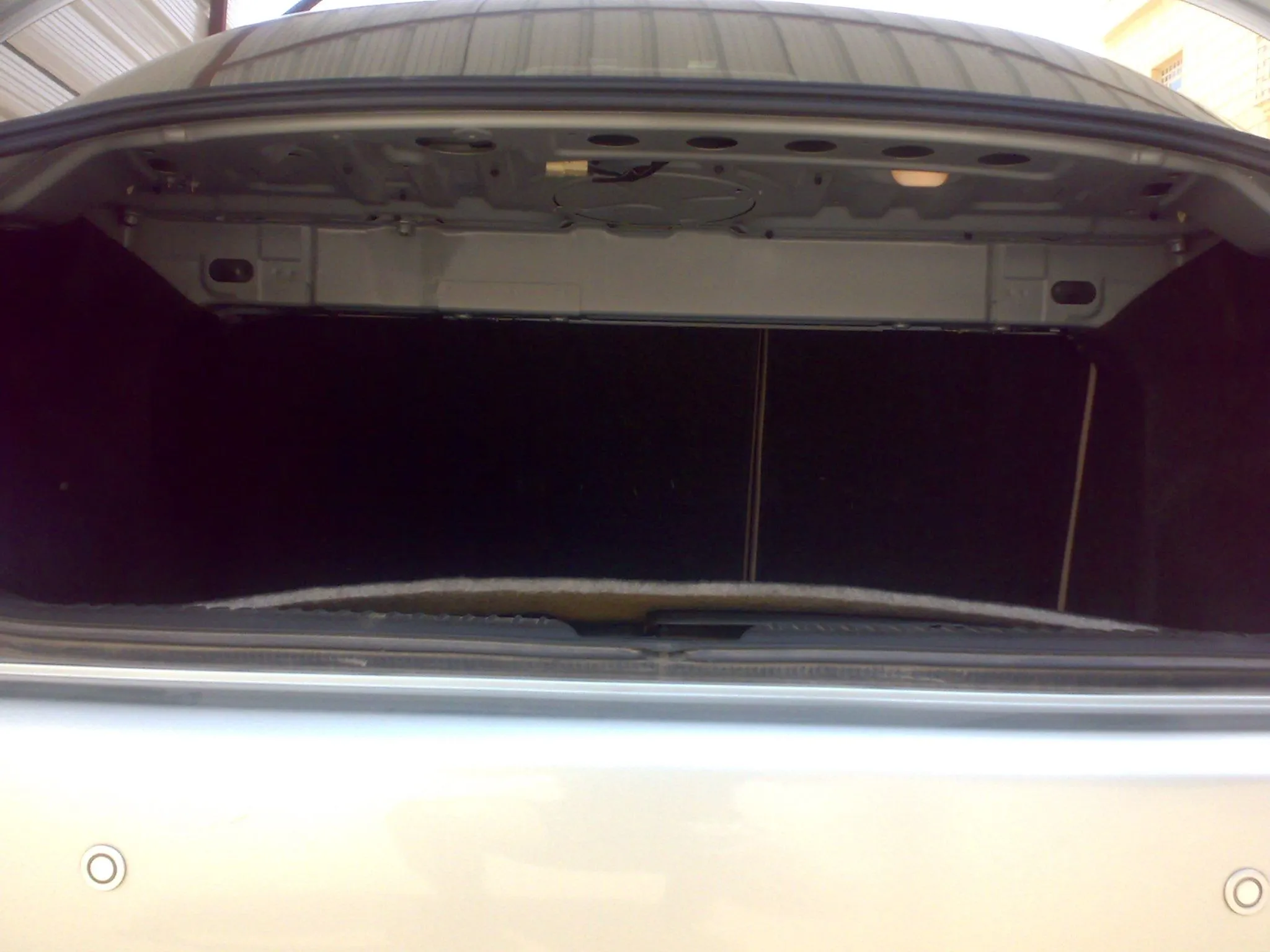 trunk0.webp